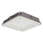 CP05 75W Canopy Light