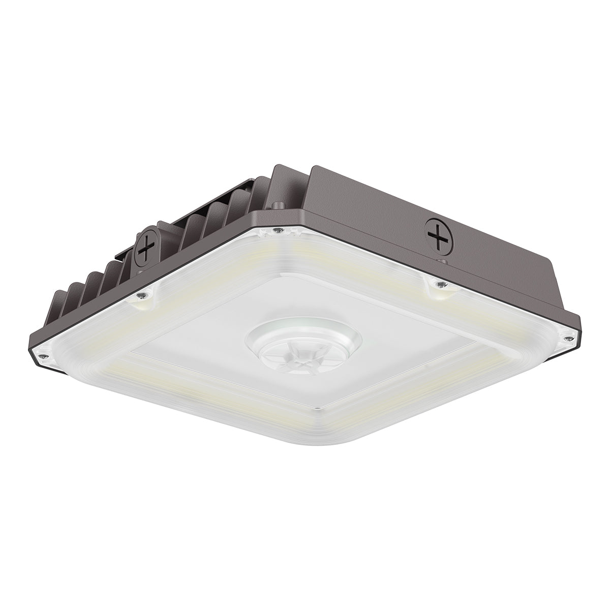 CP05 75W Canopy Light