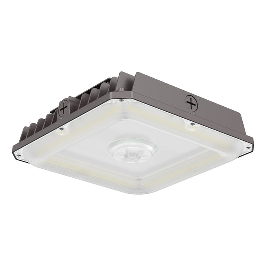 CP05 75W Canopy Light