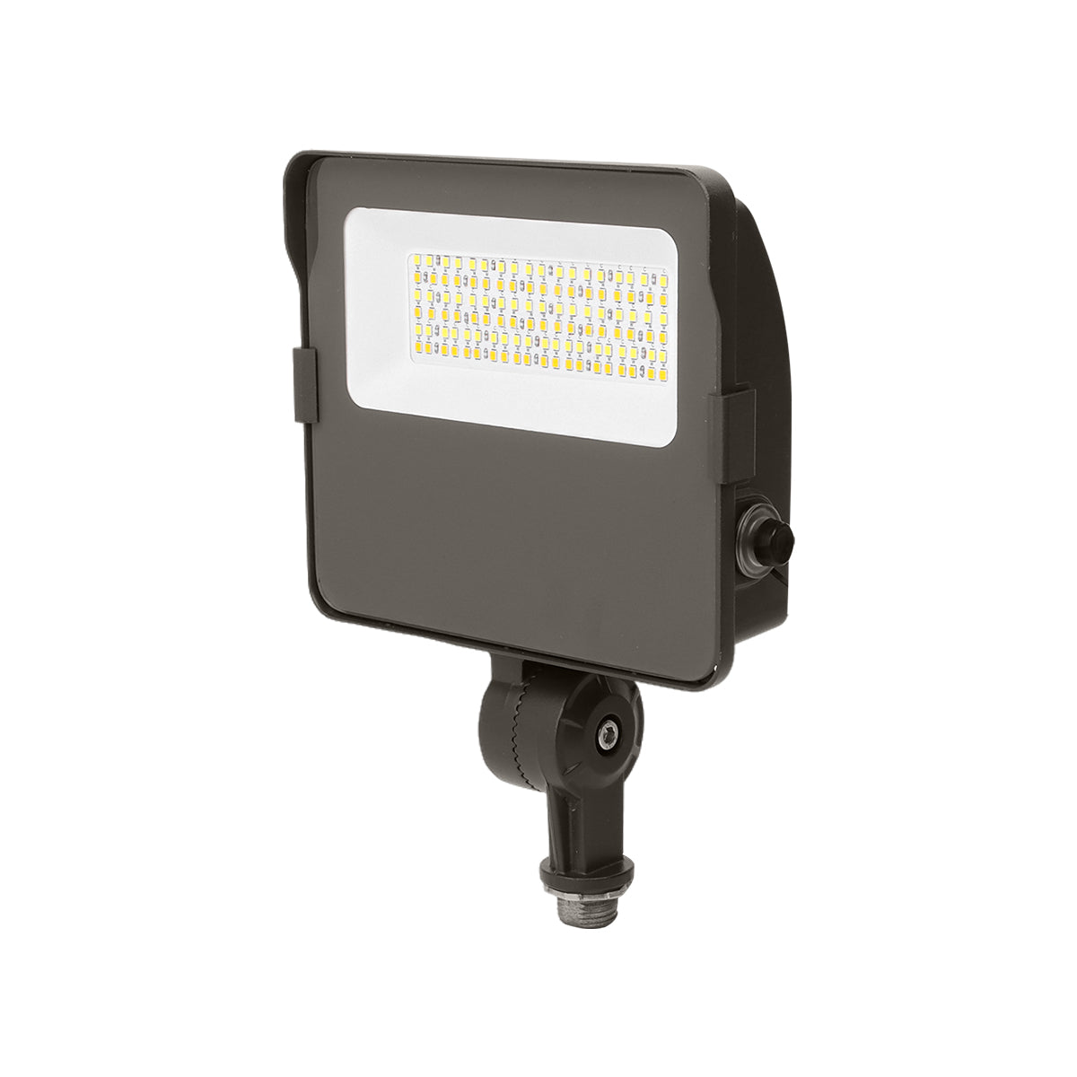 FL06 30W LED Flood Light