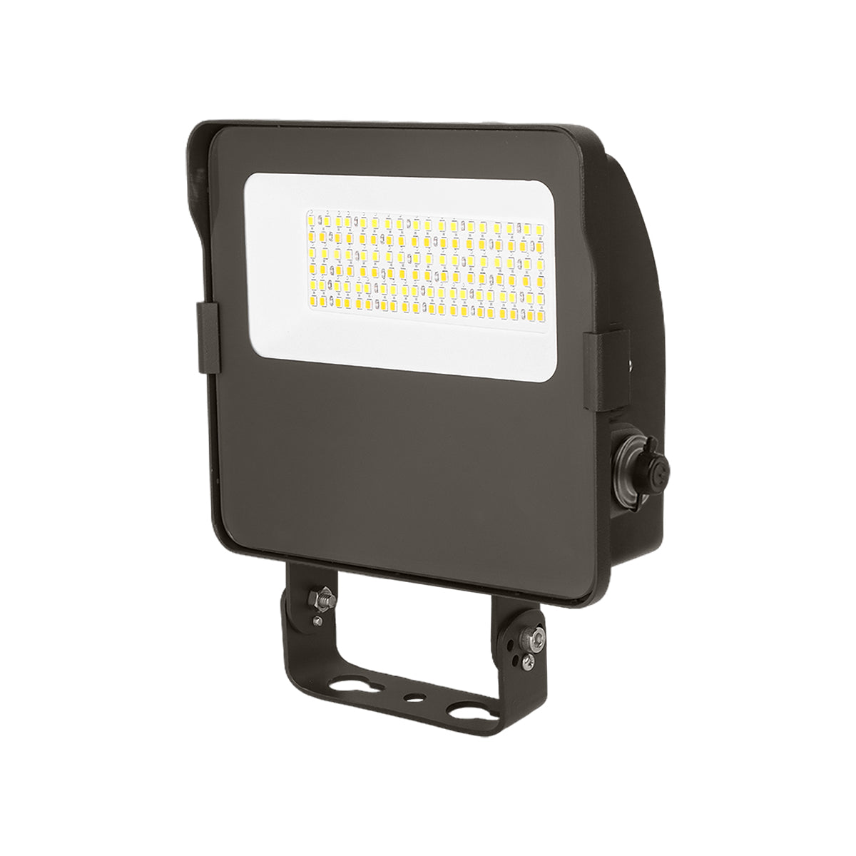 FL06 30W LED Flood Light