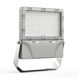 HFL01 Series Hazardous Location LED Flood Lights