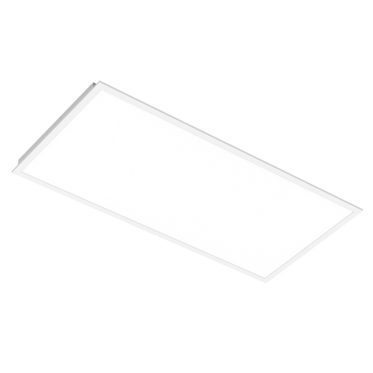 PB02 2'x4' Panel Light