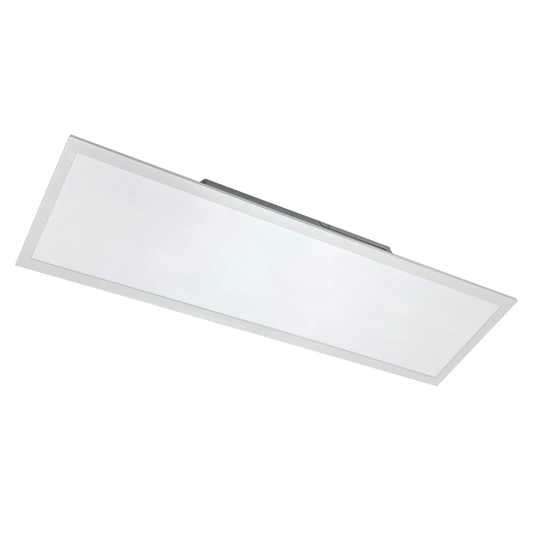 PB02 1'x4' Panel Light