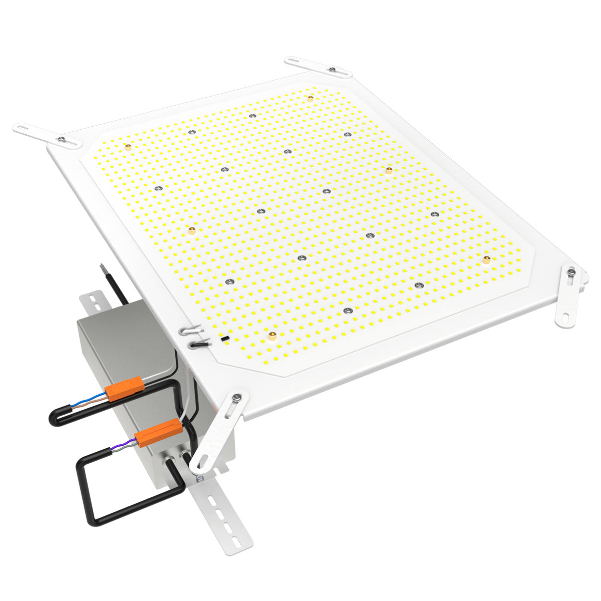 RFK01-240D-40 Shoebox LED Retrofit
