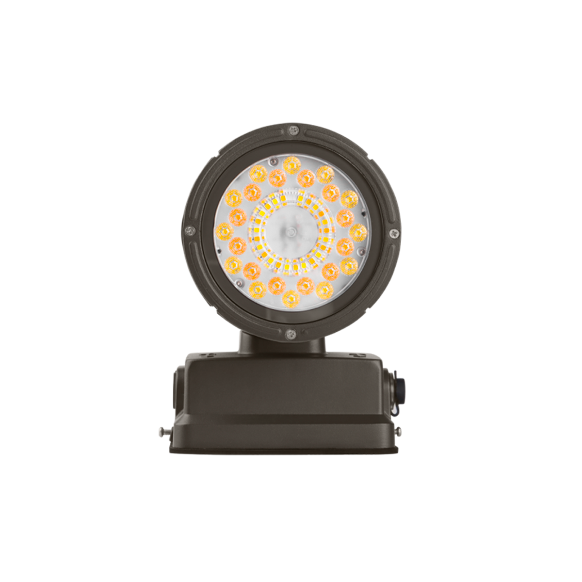 20W Selectable WSC02 LED Wall Sconce, Bronze