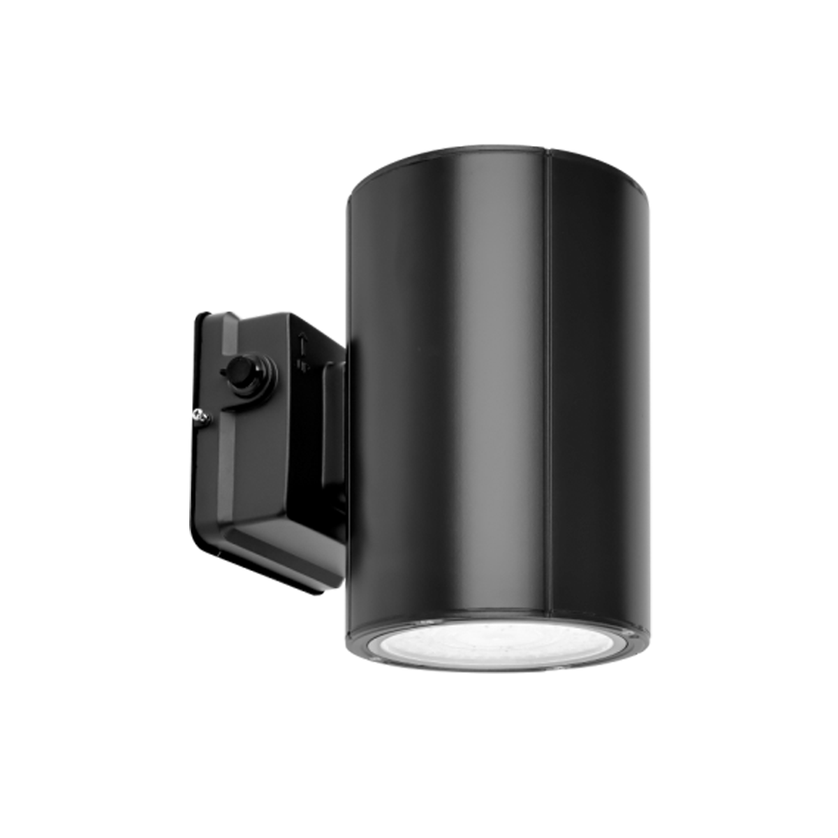 38W Selectable WSC02 LED Wall Sconce, Black