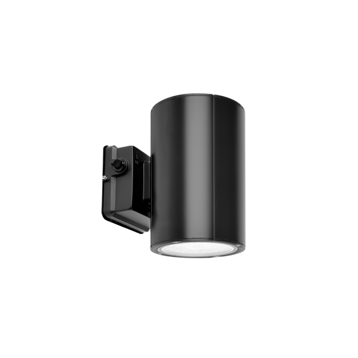 38W Selectable WSC02 LED Wall Sconce, Black