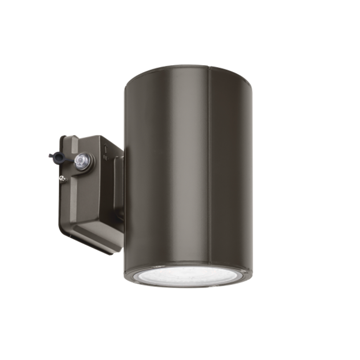 38W Selectable WSC02 LED Wall Sconce, Bronze