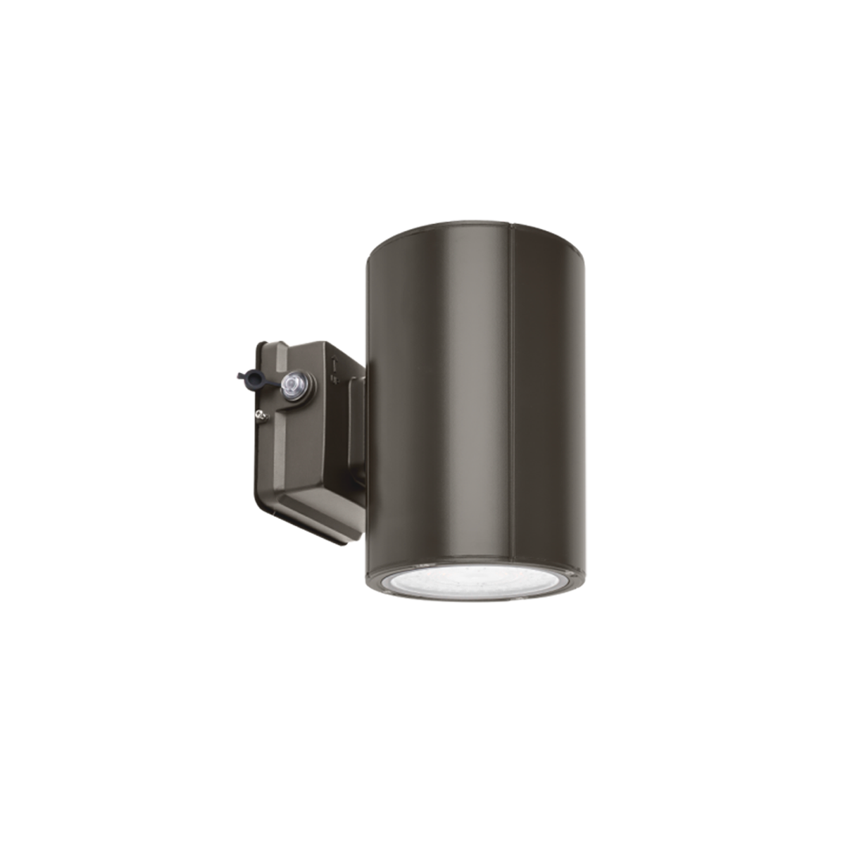 38W Selectable WSC02 LED Wall Sconce, Bronze