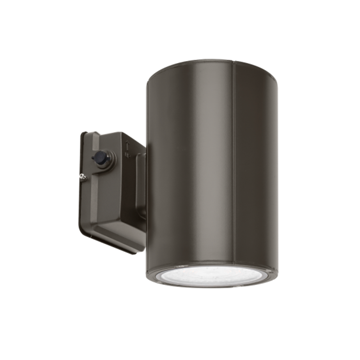 38W Selectable WSC02 LED Wall Sconce, Bronze
