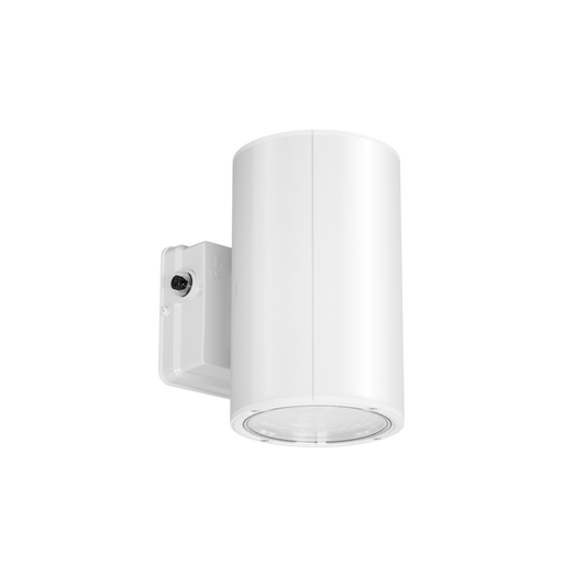 38W Selectable WSC02 LED Wall Sconce, White